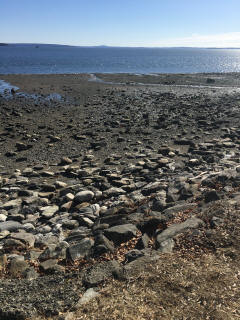 Maine Beach